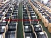 GJXH-1B6 FTTH Indoor Cable 1 Core with 0.4mm Steel Wire Strength Member