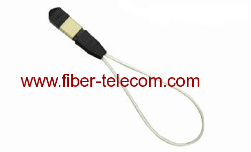 MPO SM Loop Back