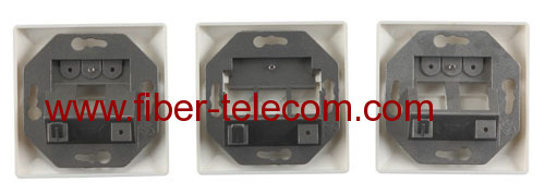 2-port Germany Type Bevelled FTP Face Plate